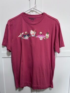 Hello Kitty Sanrio Embroidered Fruits Group Shot T-Shirt Pink BoxLunch Small